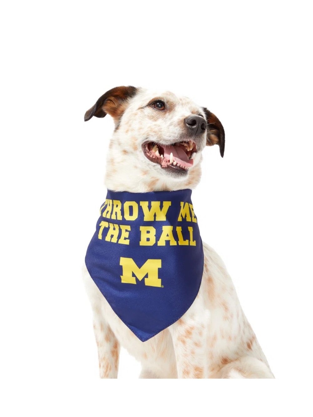 University of Michigan Wolverines dog bandana - new with tags